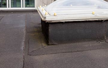 disadvantages of Williams Green flat roofs