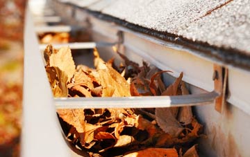 Williams Green gutter cleaning companies
