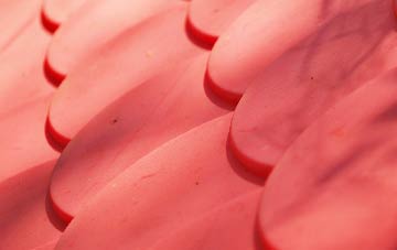 Williams Green plastic roof costs