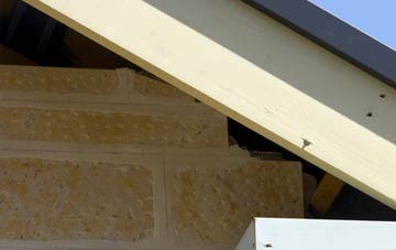 soffit repair Williams Green