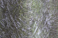 Williams Green fibreglass roof work