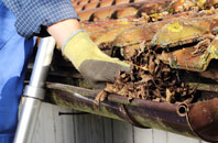 Williams Green gutter cleaners